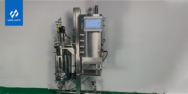 草莓AVAPP需要具備的條件 草莓AVAPP需要具備的條件