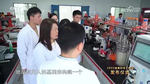 實驗室草莓AVAPP 實驗室草莓AVAPP