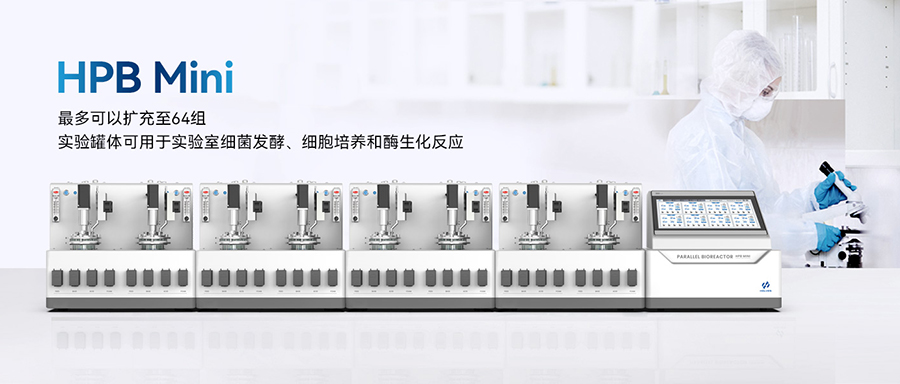 平行草莓视频最新网址 平行草莓视频最新网址