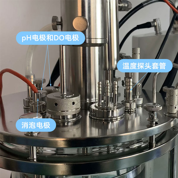 草莓AVAPP傳感器 草莓AVAPP傳感器